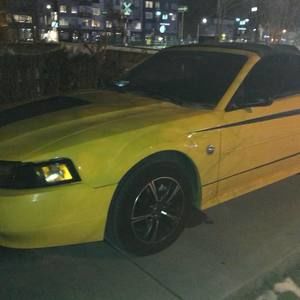 Meet your Posher, Marco